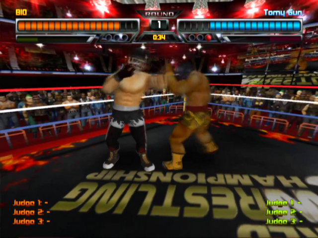 Screenshot World Wrestling Championship