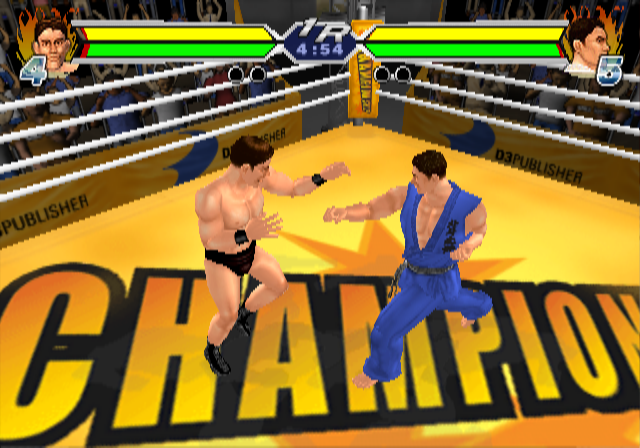 Screenshot World Fighting