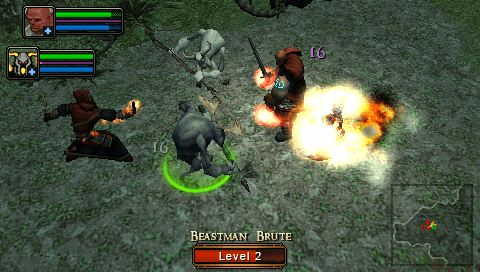 Screenshot Dungeon Siege : Throne of Agony