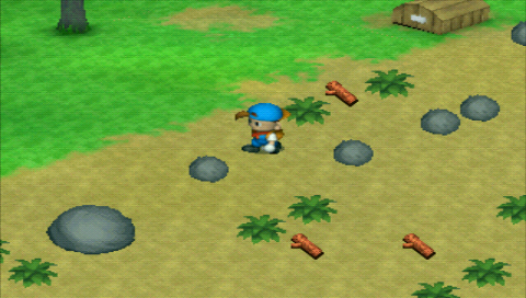 Screenshot Harvest Moon : Boy & Girl