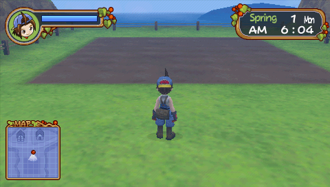 Screenshot Harvest Moon : Hero of Leaf Valley