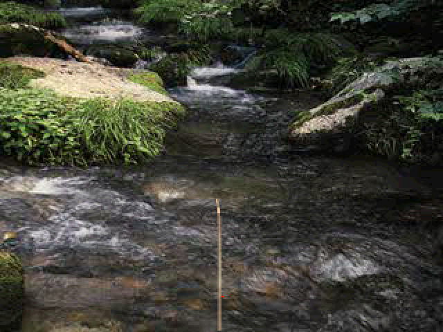 Screenshot Reel Fishing