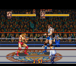 Screenshot Saturday Night Slam Masters