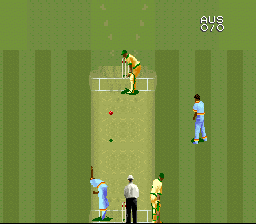 Screenshot Super International Cricket