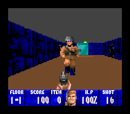 Screenshot Wolfenstein 3-D