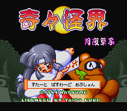 Screenshot Pocky & Rocky 2