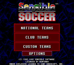 Screenshot Sensible Soccer : European Champions