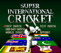 Screenshot Super International Cricket