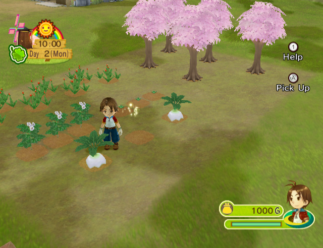 Screenshot Harvest Moon : Parade des Animaux