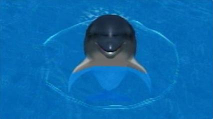 Screenshot My Dolphin