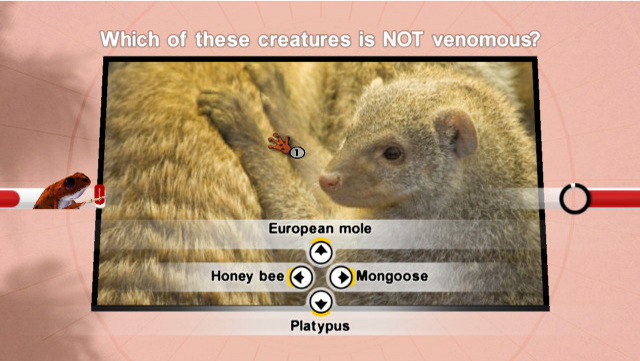 Screenshot Nat Geo Quiz! Wild Life