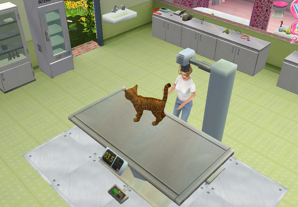 Screenshot Ma clinique veterinaire
