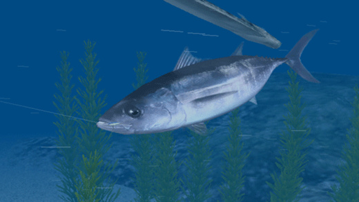 Screenshot Reel Fishing Ocean Challenge