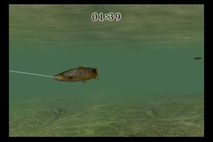 Screenshot Reel Fishing Challenge
