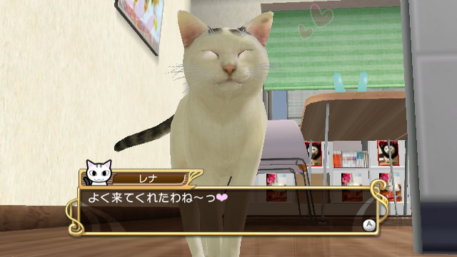 Screenshot Sukeban Shachou Rena Wii