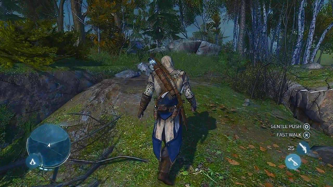 Screenshot Assassin's Creed III