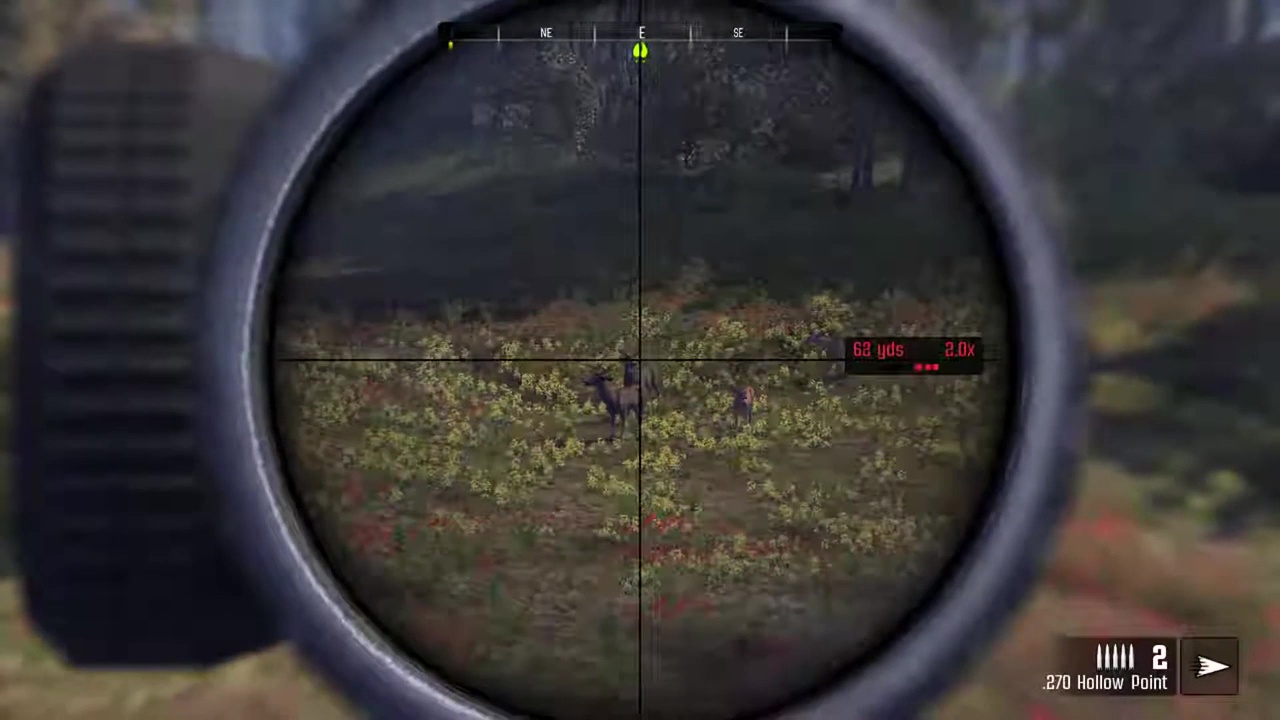 Screenshot Cabela's Big Game Hunter : Pro Hunts