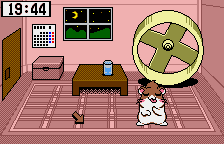 Screenshot Dokodemo Hamster 3: O-Dekake Safuran