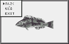 Screenshot Wonderswan Handy Sonar