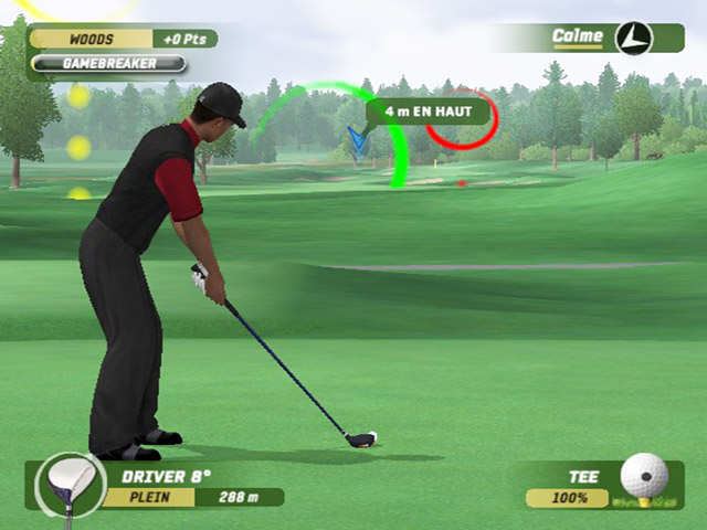 Screenshot Tiger Woods PGA Tour 06