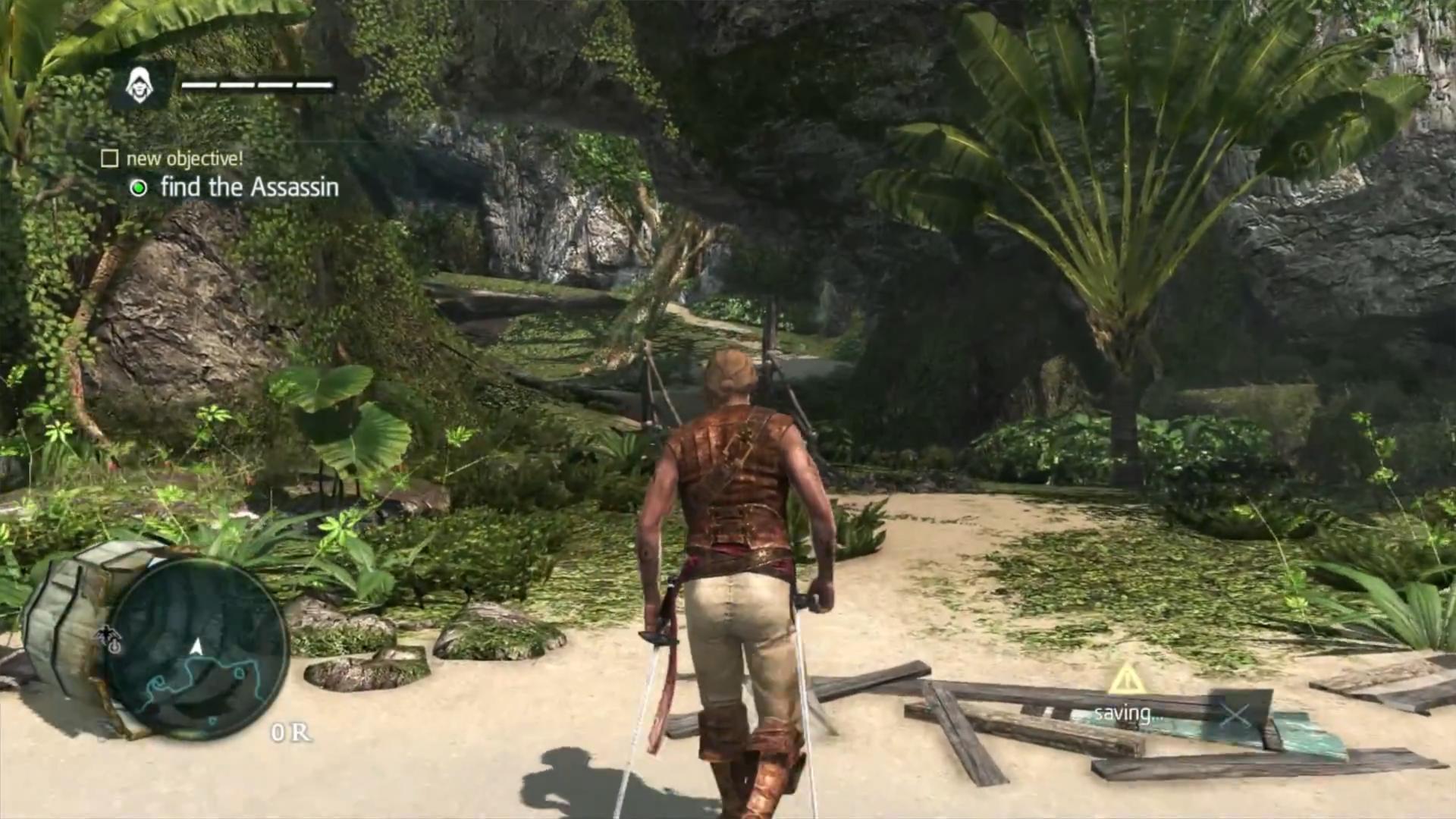 Screenshot Assassin's Creed IV : Black Flag